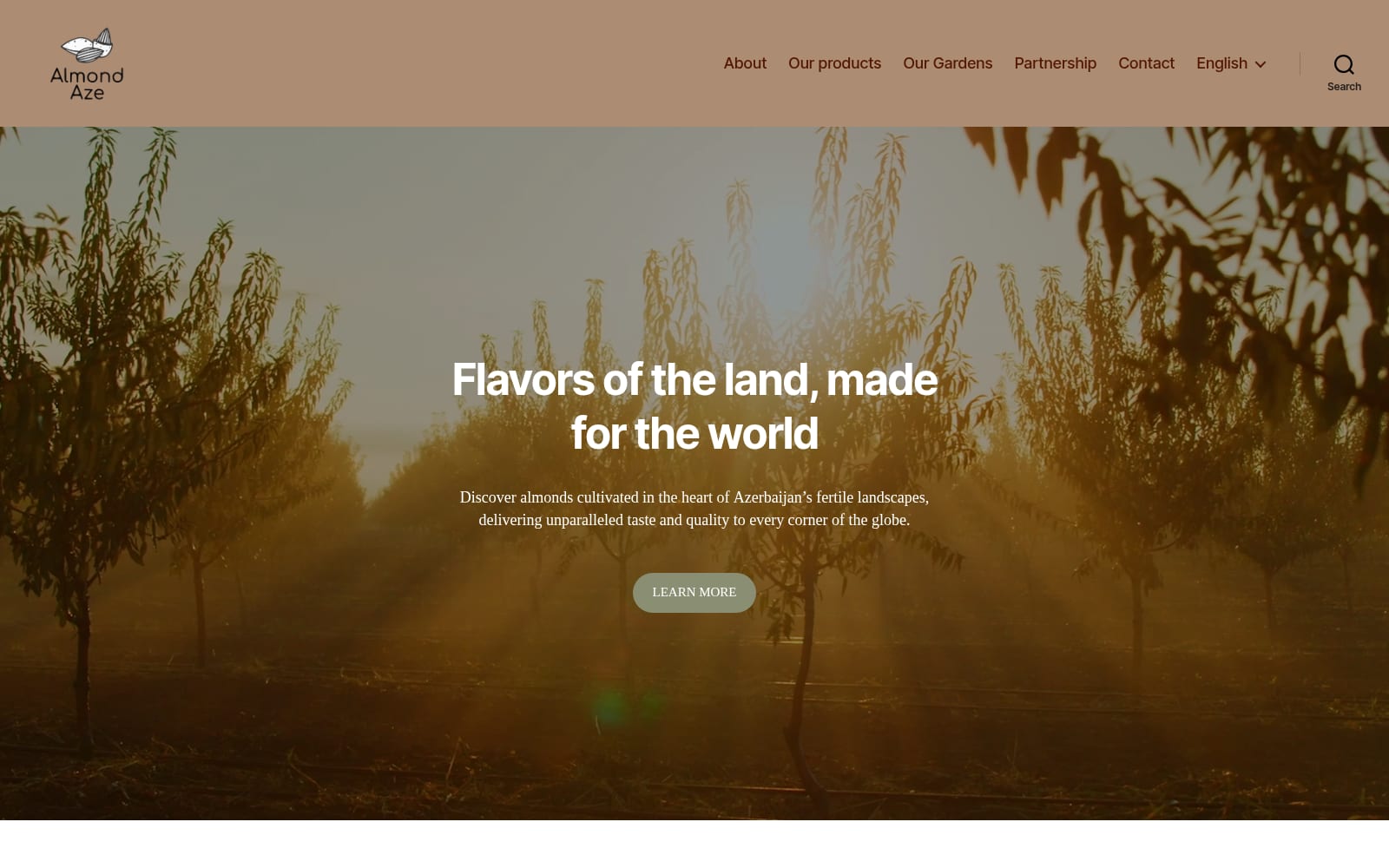Web corporativa de AlmondAze para comercialización internacional de almendras